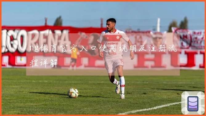 ng体育官方入口使用说明及注册流程详解