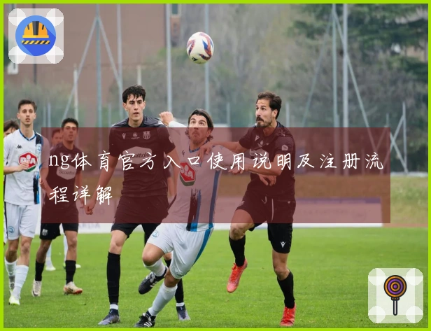 ng体育官方入口使用说明及注册流程详解