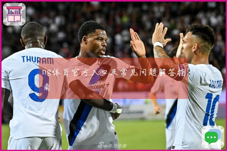 ng体育官方入口及常见问题解答指南