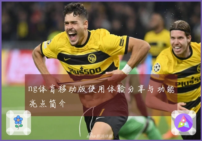 ng体育移动版使用体验分享与功能亮点简介
