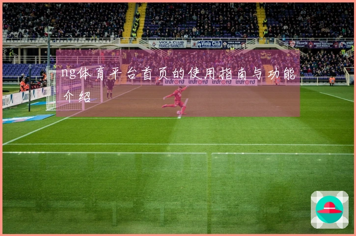 ng体育平台首页的使用指南与功能介绍