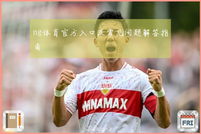 ng体育官方入口及常见问题解答指南