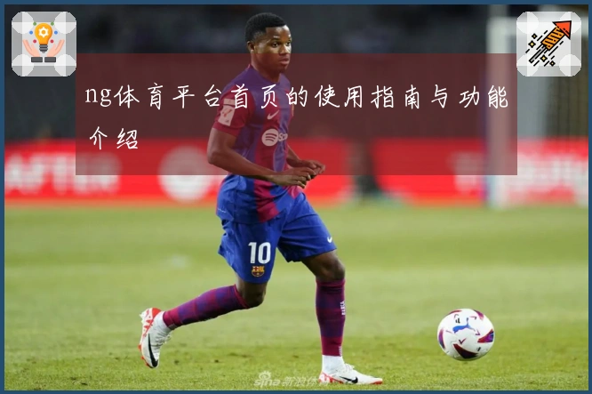 ng体育平台首页的使用指南与功能介绍