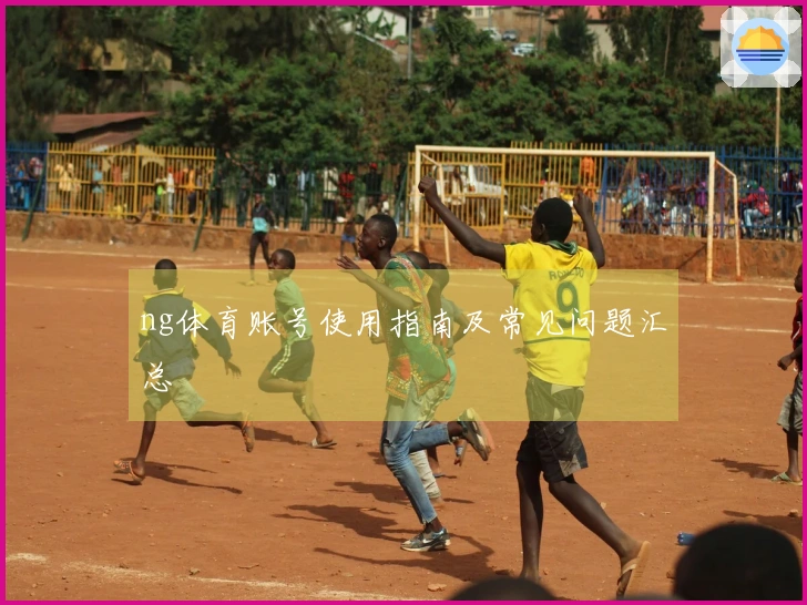 ng体育账号使用指南及常见问题汇总
