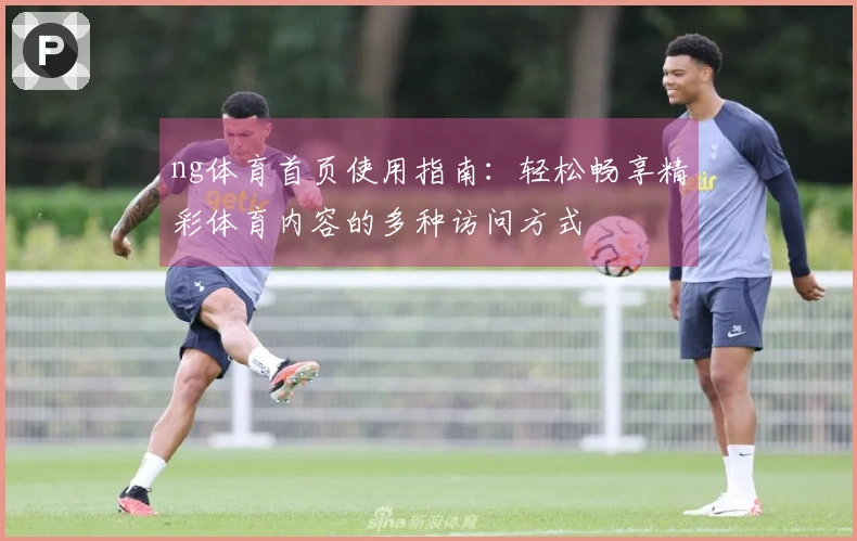 ng体育首页使用指南：轻松畅享精彩体育内容的多种访问方式