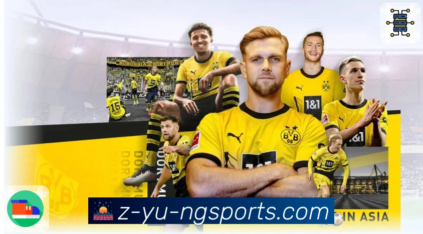 体育直播接口页面结构示意